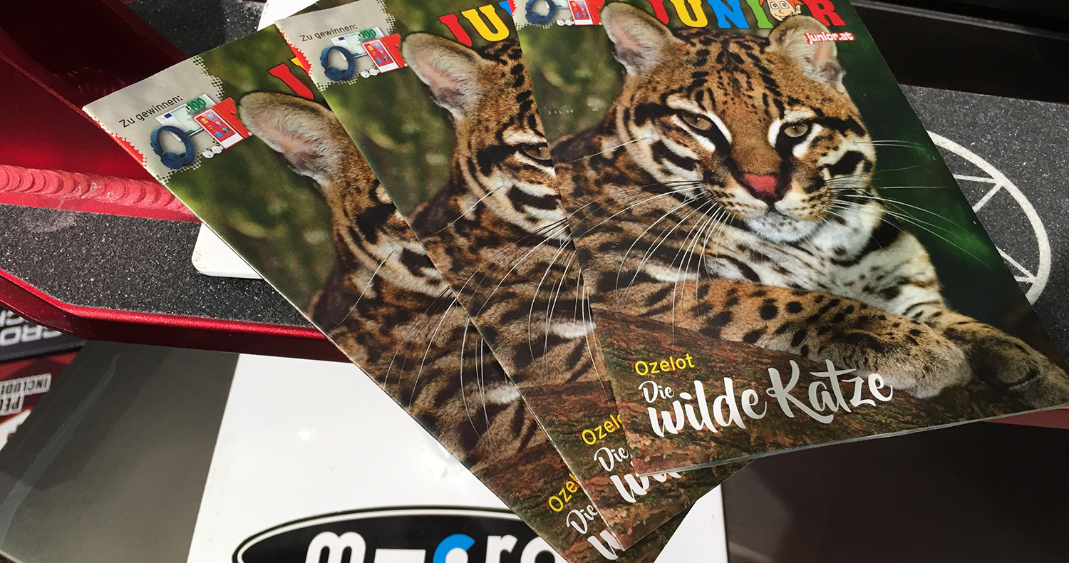 Read more about the article Junior Kinderzeitschrift November