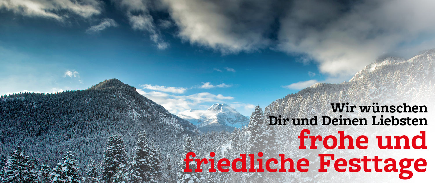 Read more about the article FROHE WEIHNACHTEN!